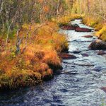 „Elades jõena”– novembrikuu esmaspäevaõhtud Tallinna Budakojas