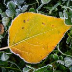 Tartu meditatsiooni- ja budismiõhtud: november 2025