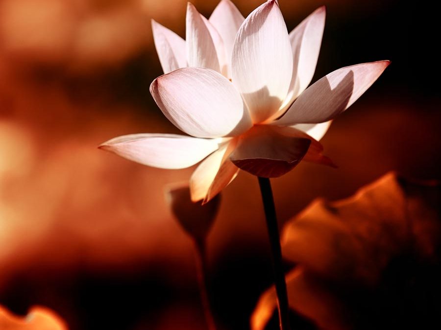 Mõtluspäev Tallinna Budakojas (06.12)