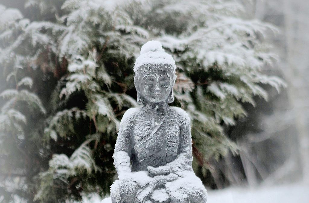 Tartu meditatsiooni- ja budismiõhtud: detsember 2025