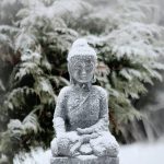 Tartu meditatsiooni- ja budismiõhtud: detsember 2025